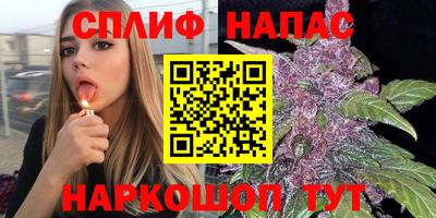 трава Новокубанск