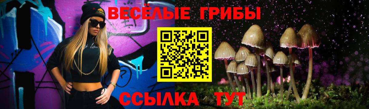 Псилоцибиновые грибы Magic Shrooms Ступино